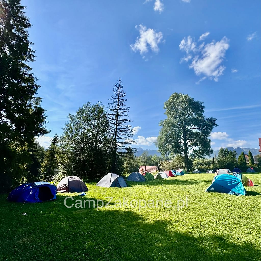 Letnie pole namiotowe otoczone zielenią na Camping Harenda w Zakopanem z widokiem na Tatry.