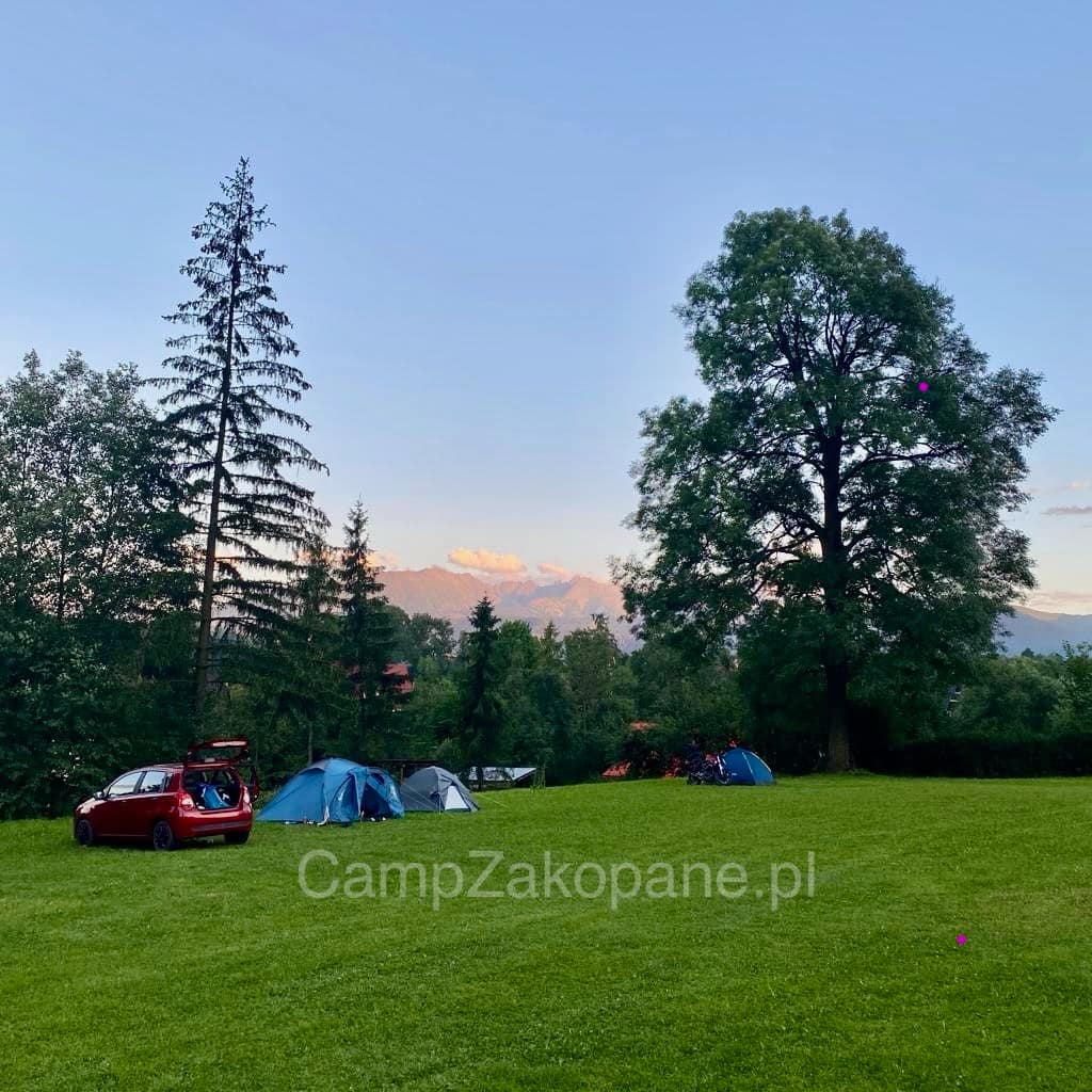 Spokojne pole namiotowe na zielonej trawie z widokiem na Tatry na Camping Harenda w Zakopanem
