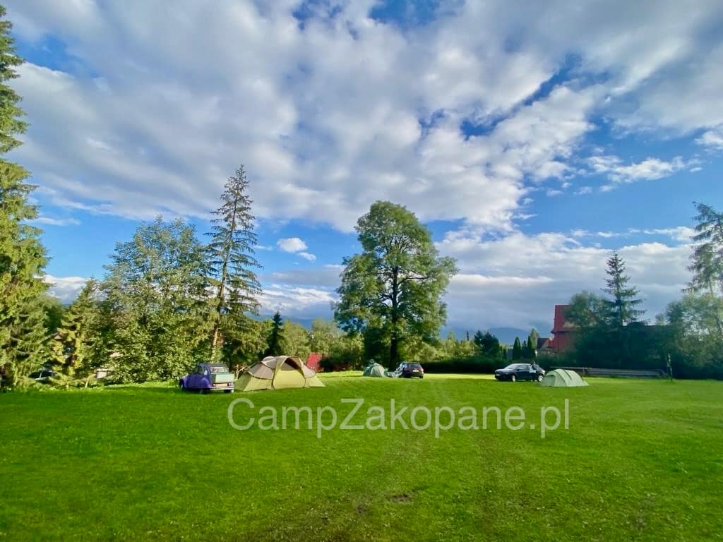 Namioty rozbite na dużej, zielonej polanie z widokiem na Tatry na Camping Harenda w Zakopanem