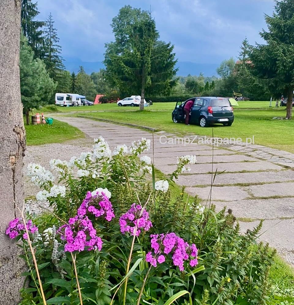 Utwardzona droga przez zielony camping z kolorowymi kwiatami i stanowiskami dla kamperów na Camping Harenda w Zakopanem